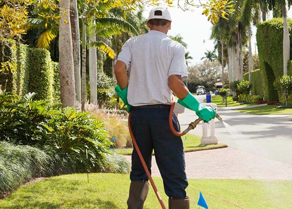 About Bellmore NY Pest Control